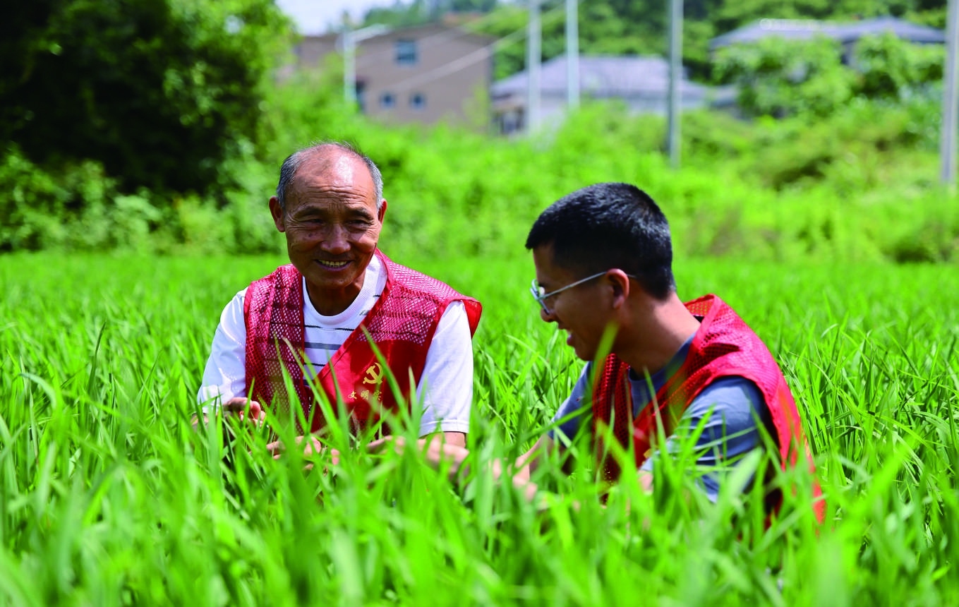 瑞金：农技人员深入田间地头 助力全市早稻稳产增收